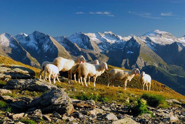 Berge in Mayrhofen